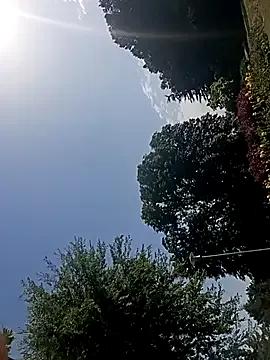 Dettybitch40 on StripChat 