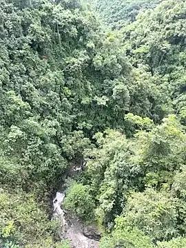 Lyon_vach — Makes my hallowen happy